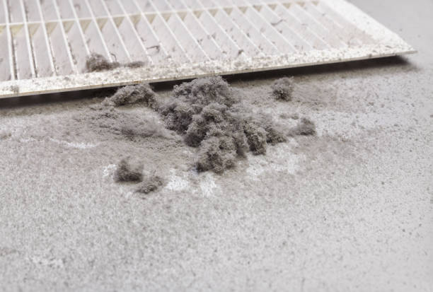Best Ventilation Cleaning Services  in Pinebluff, NC