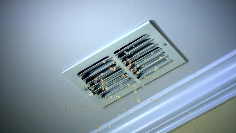 Best Ventilation Cleaning Services  in Pinebluff, NC