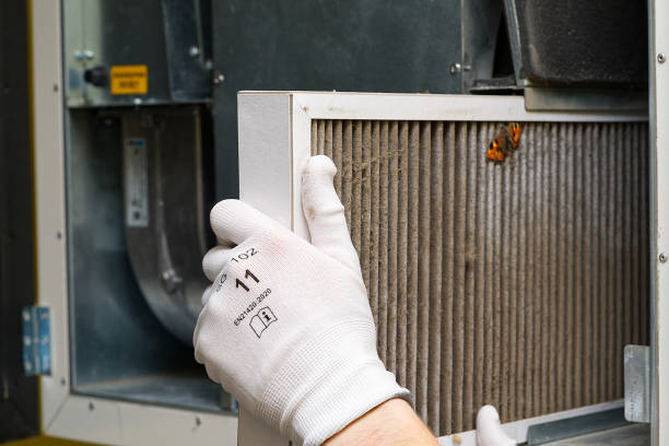 Best Affordable Duct Cleaning Services  in Pinebluff, NC