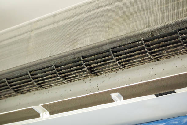 Best Air Duct Cleaning Near Me  in Pinebluff, NC